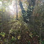 Joli Avec Jardin Et Carrière *