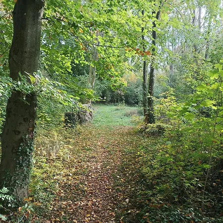 Appartamento Joli Avec Jardin Et Carrière Grandrieu
