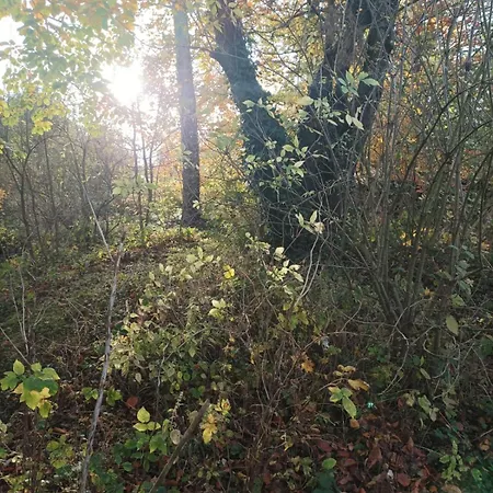 Joli Avec Jardin Et Carriere *