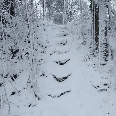 Joli Avec Jardin Et Carriere * Grandrieu