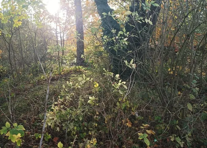 Joli Avec Jardin Et Carriere *